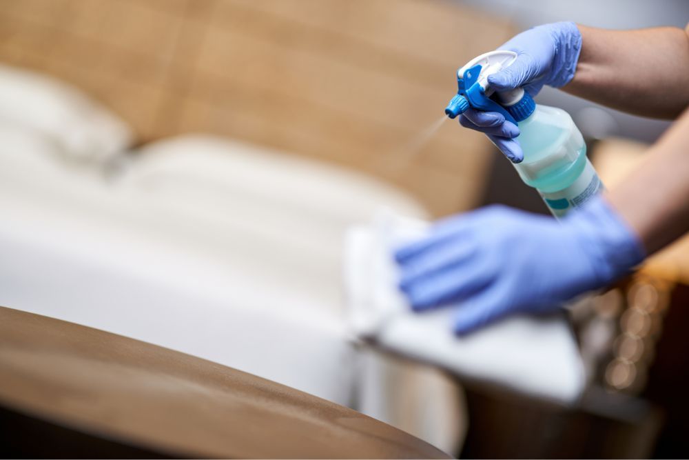 What is the Average Cost of Maid Services in Spring, TX?